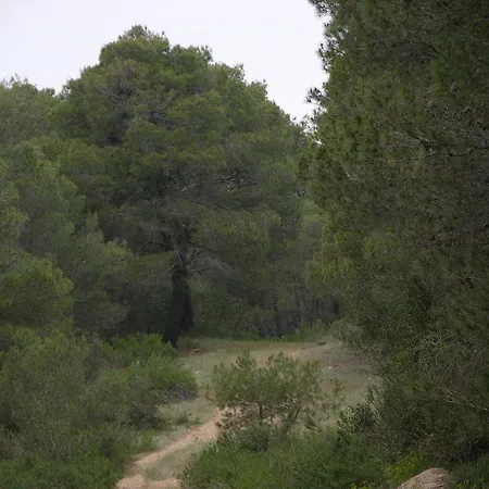 Collins كاستيلانيتا مارينا