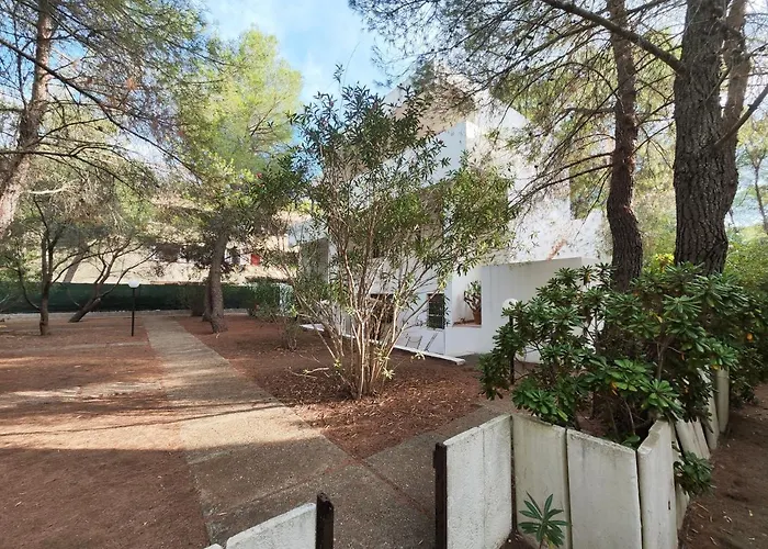 Collins * 卡斯特拉巴特滨海